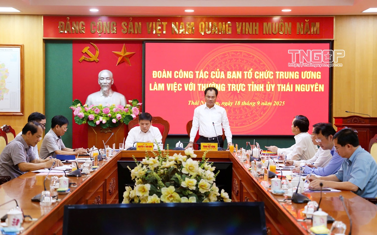 Đoàn công tác của Ban Tổ chức Trung ương làm việc với Thường trực Tỉnh ủy Thái Nguyên
